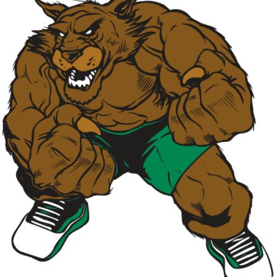 AR WILDCAT 45 RC Thumbnail