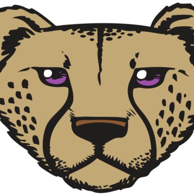 BAW CHEETAH 14 RC Thumbnail