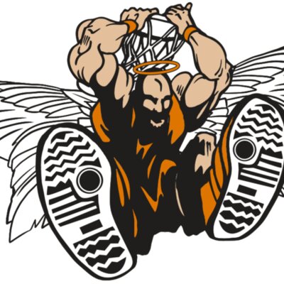 AR17 ANGEL BSKT 07 RQC Thumbnail