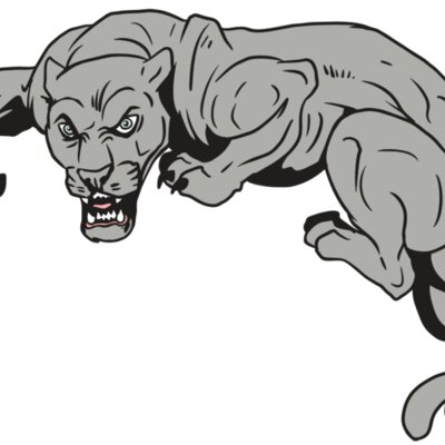 AR10 PANTHER 02 RQC Thumbnail