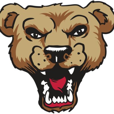 AR9 BEAR HD 01 RQC Thumbnail