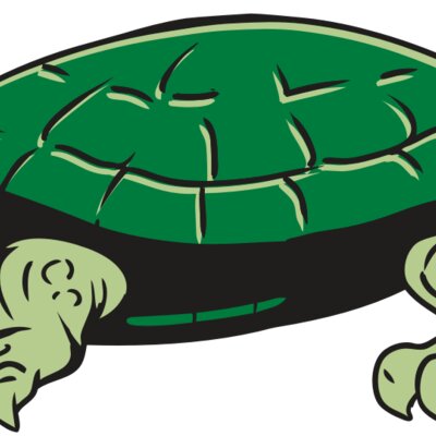 AR32 TURTLE 01 RQC Thumbnail