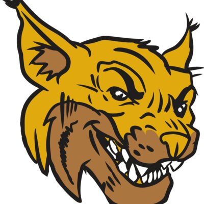 AR15 WILDCAT 01 RQC Thumbnail